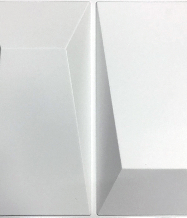 3d Ceiling Panel S117